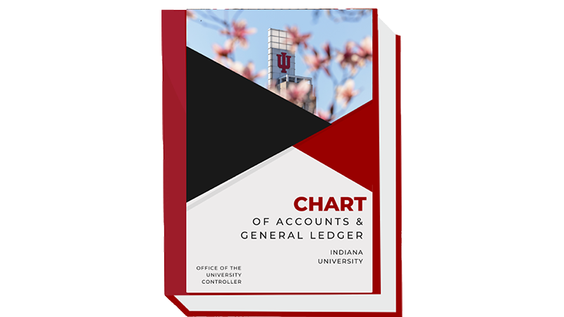 Chart of Accounts and General Ledger Image